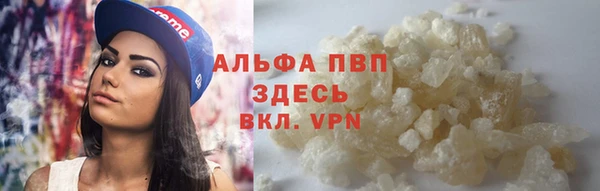 мдпв Каменногорск