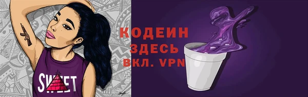 мдпв Каменногорск