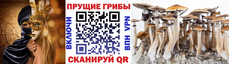 Галлюциногенные грибы мухоморы  Купить  Подпорожье 